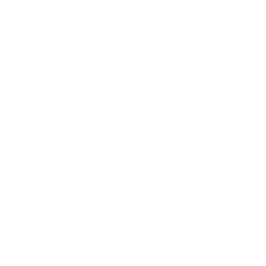 Logo Venti Sails - Veleria Genova, Massa, Roma, Napoli